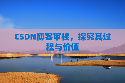 CSDN博客审核，探究其过程与价值