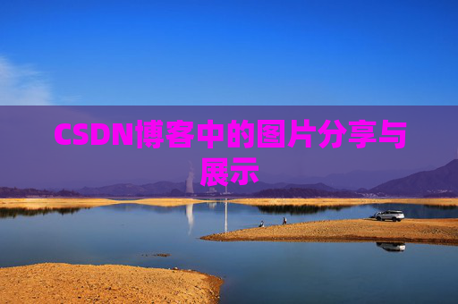 CSDN博客中的图片分享与展示